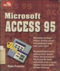 MICROSOFT ACCESS 95                                SDH