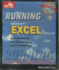 RUNNING MICROSOFT EXCEL FOR WINDOWS 95