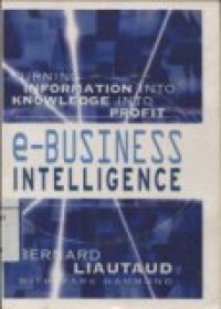 e-BUSINESS INTELLIGENCE